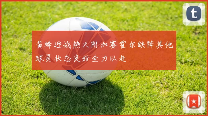 黄蜂迎战热火附加赛霍尔缺阵其他球员状态良好全力以赴